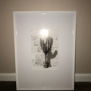 Cactus framed photo no damage 🌵